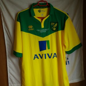 Norwich City (partido ascenso a la Premier League)