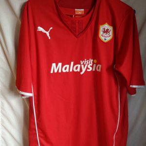 Cardiff City - 10 Fraizer Campbell