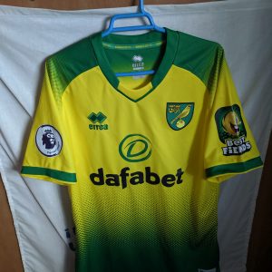 Match Worn - Norwich City - 17 Emiliano Buendia