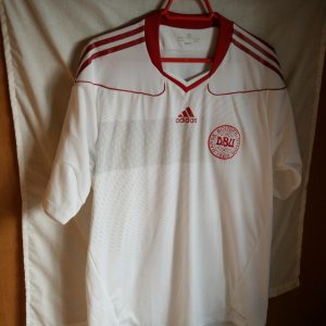 Seleccion de Dinamarca - player issue
