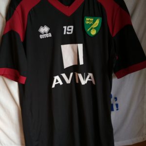 Norwich City - dorsal 19 - player worn training