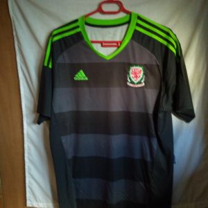 Seleccion de Gales
