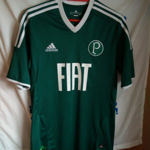 Palmeiras (Brasil) - dorsal 10