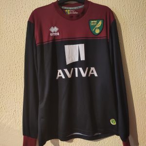 Norwich City - player issue