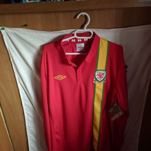 Nueva - Seleccion de Gales