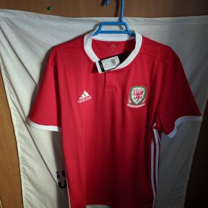 Nueva - Seleccion de Gales