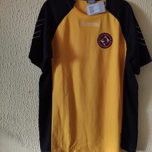 Nueva - Dundee United (Escocia)