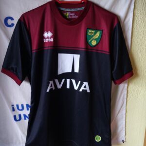 Match Worn - Norwich City - dorsal 17