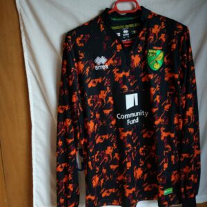 Match Worn - Norwich City - dorsal 13