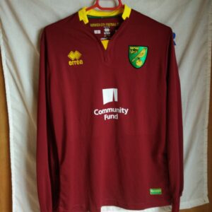Match Worn - Norwich City - dorsal 13