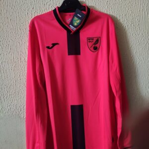 Nueva - Norwich City
