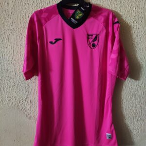 Nueva - Norwich City