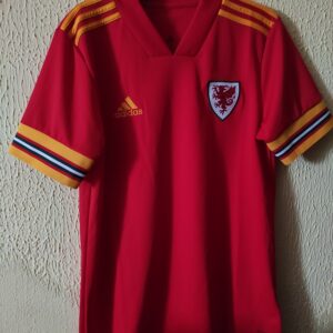 Seleccion de Gales