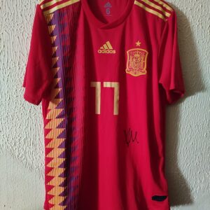 Match Worn y firmado - Seleccion de España - 17 Iago Aspas