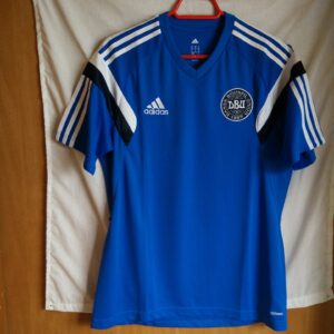 Seleccion de Dinamarca