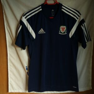 Seleccion de Gales - Wales