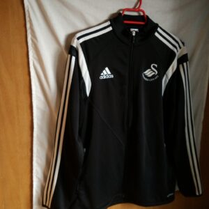 Swansea City