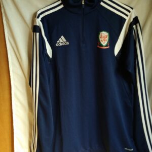 Seleccion de Gales