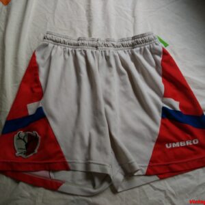 Kashima Antlers (Japon)