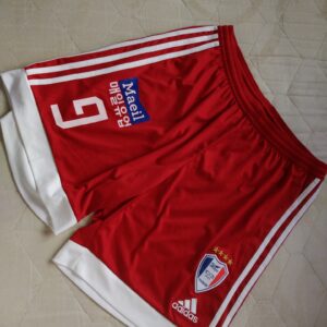 Suwon Samsung Bluewings FC (Corea del Sur / South Korea) - dorsal 9 - match worn