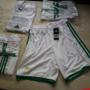 Nueva - Lechia Gdasnk (Polonia)