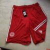 Nueva - Seleccion de Dinamarca - player issue
