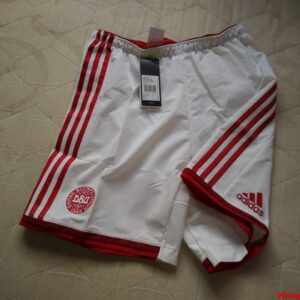 Nueva - Seleccion de Dinamarca - player issue