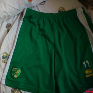 Norwich City - dorsal 11 - player worn