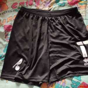 Norwich City - dorsal 17 - match worn