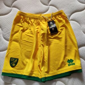 Nueva - Norwich City