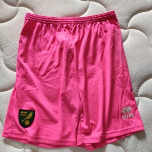 Norwich City - player issue / worn