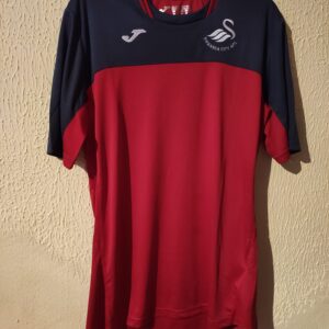 Swansea City