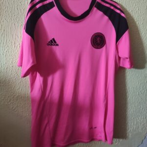 Seleccion de Escocia