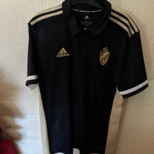 Polo del Real Valladolid - player worn
