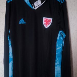 Nueva - Seleccion de Gales
